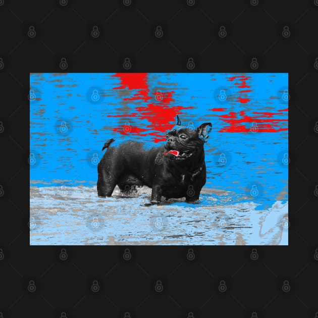 Black dog / Swiss Artwork Photography by RaphaelWolf