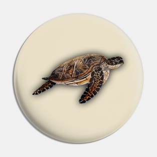 Sea turtle t-shirt designs Pin