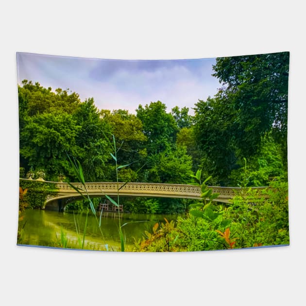 Bow Bridge Nature Lake Trees Central Park Manhattan New York City Tapestry by eleonoraingrid