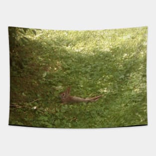 Cool rabbit relaxing on the lawn Tapestry