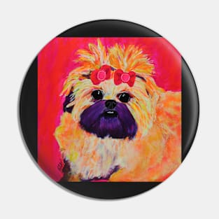 Pretty Shih Tzu Pin