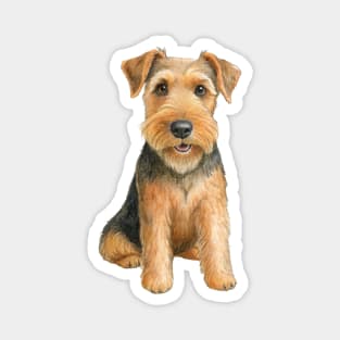 Adorable Airedale Terrier Dog Breed Magnet