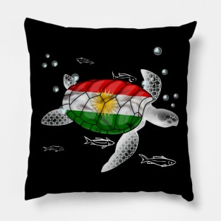 Kurdistan Turtle Pillow