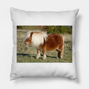 Dartmoor Pony Pillow