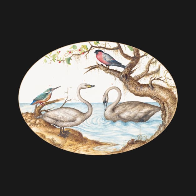 Two Swans, Kingfisher, and Bullfinch (1575–1580) by WAITE-SMITH VINTAGE ART