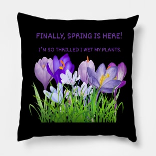 Finally, spring is here! I’m so thrilled I wet my plants. Pillow