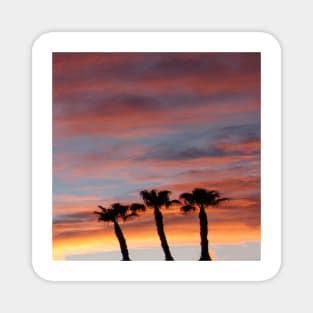 Palm Trees in Las Vegas Orange Sunset Sky Magnet