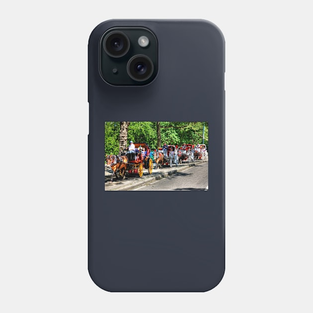 Central Park Carriage Ride Phone Case by tommysphotos