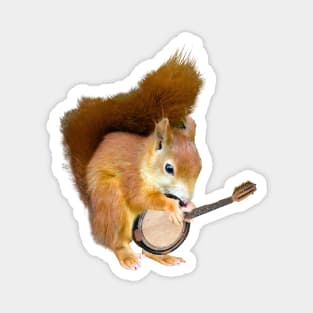 Squirrel Playing Banjo Magnet