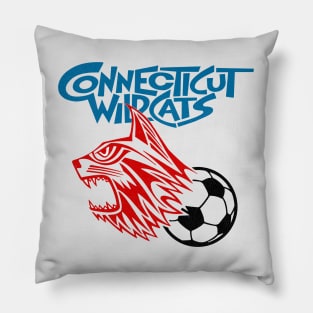 Defunct Connecticut Wildcats ASL Soccer 1973 Pillow