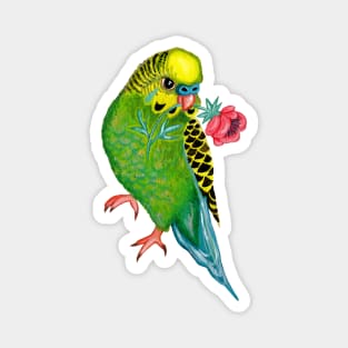 birds, parrot painting, green, birb, pet, budgies Magnet