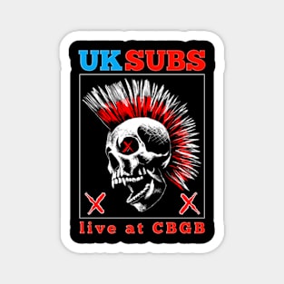 uk subs Magnet