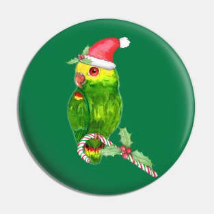 Amazon parrot Christmas style Pin