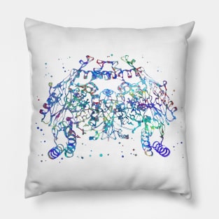 Nitric oxide synthase Pillow