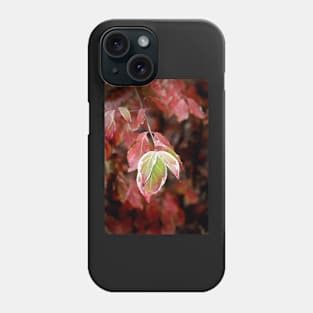 November Dogwood Phone Case