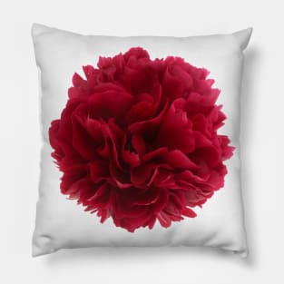 Red peony Pillow