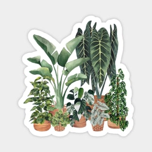 Plant Friends Magnet