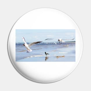 Two seagulls flying above the water Pin