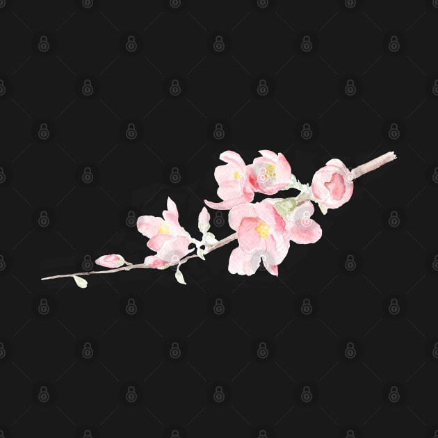 Cherry blossom - Sakura by Elena Ehrenberg