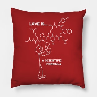 LOVE IS... A SCIENTIFIC FORMULA Pillow