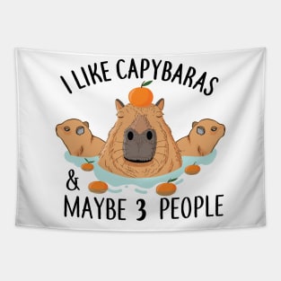 I like Capybaras and maybe 3 people Funny Baby Capybara Tapestry