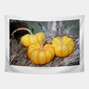 Three Mini Pumpkins Tapestry