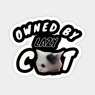 OWNED BY LAZY CAT Magnet