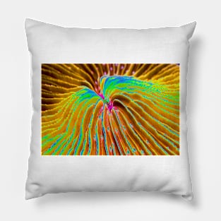 Mushroom coral, abstract image, (C052/8731) Pillow