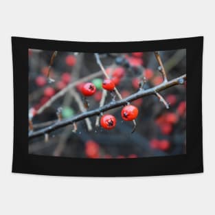 Winter Red Fruits Tapestry