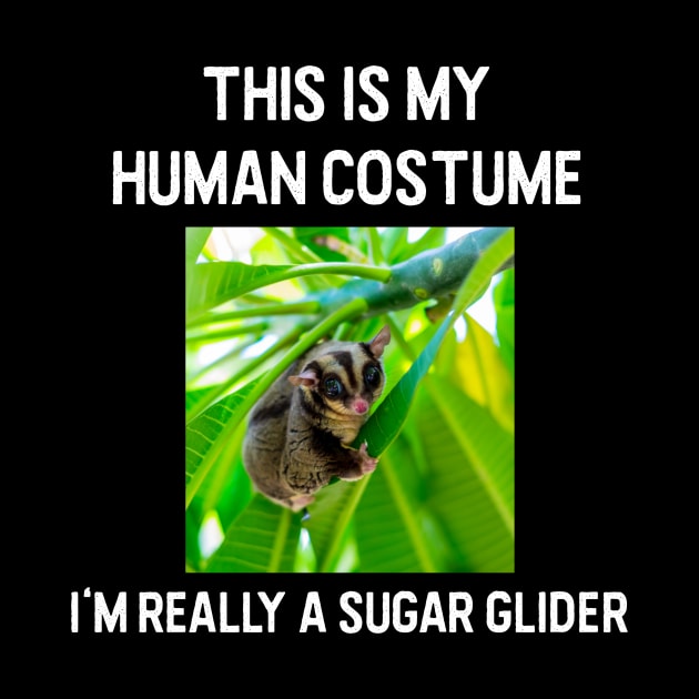 Sugar glider Halloween costume by zeevana