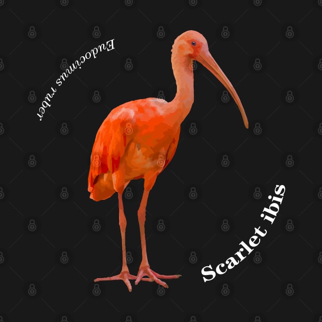 Scarlet ibis tropical bird pin white text by Ornamentum