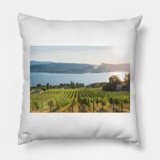 Okanagan Valley Vineyard View Pillow