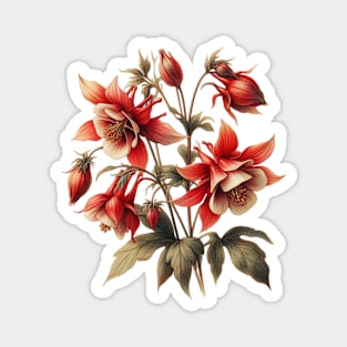 Clementine Red Columbine Vintage Botanical Magnet