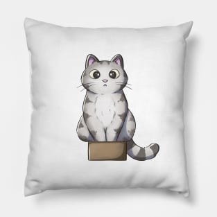 Tabby Cat Sitting In Small Box Pillow