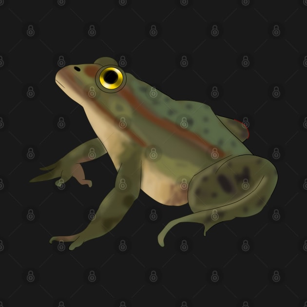 Realistic Frog by TheQueerPotato