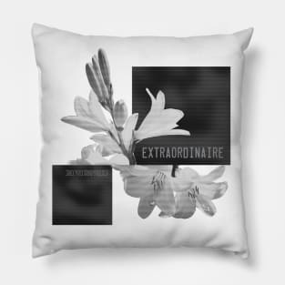 Extraordinaire Pillow