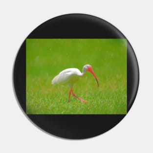Florida Birding Pin