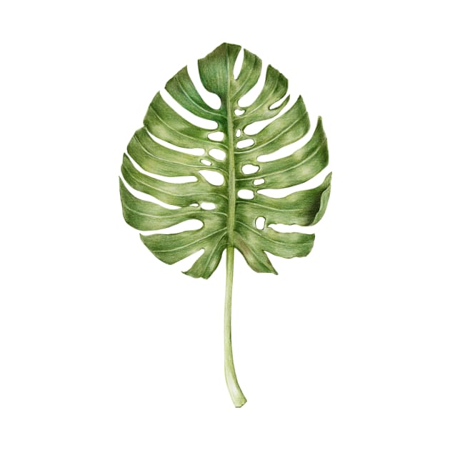 Monstera leaf illustration by thecolddots