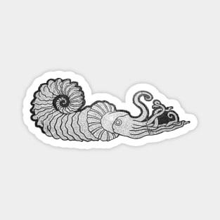 Cephalopod Magnet