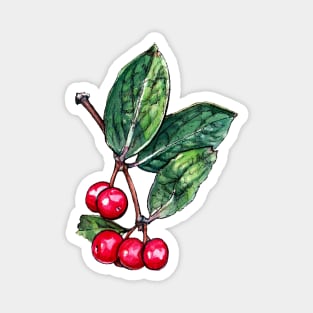 Wild Red Berries Magnet