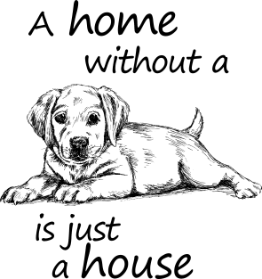 A home without a dog is just a house Magnet