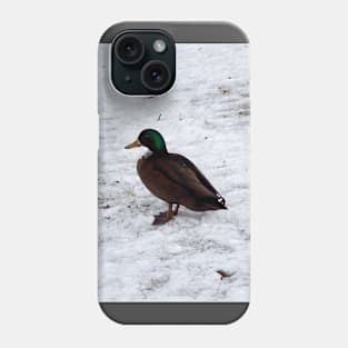Winter Duck With a Brown Chest Phone Case
