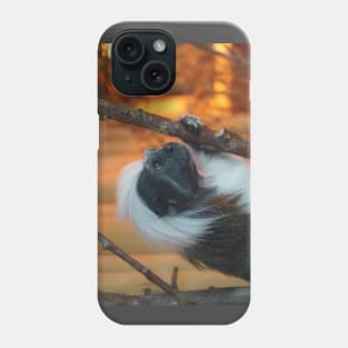 Cotton - Top Tamarin Phone Case