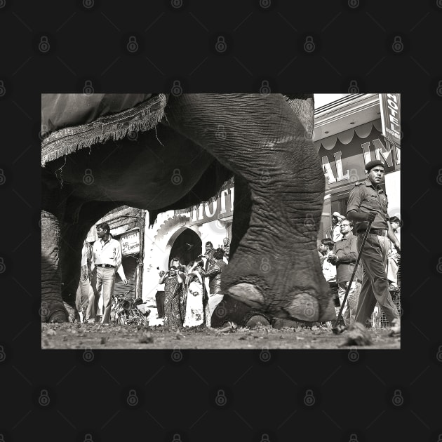 Giant Elephant Foot b/w vintage photography by PlanetMonkey