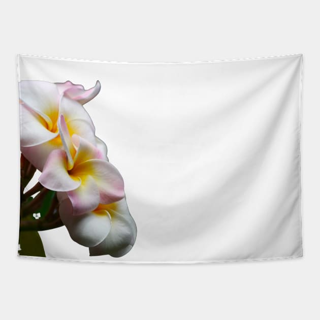 Plumeria Flower Tapestry by Art by Eric William.s