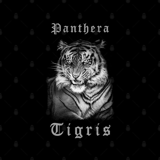 PANTHERA TIGRIS 1 by MiroDesign