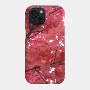 Pink leaves in fall thanksgiving Phone Case