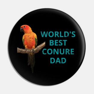 Conure owners and dads Pin