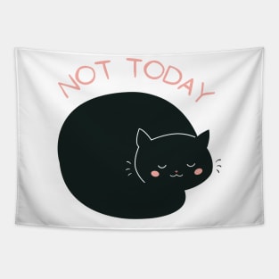 Lazy Cat Nope not Today funny sarcastic messages sayings and quotes Tapestry