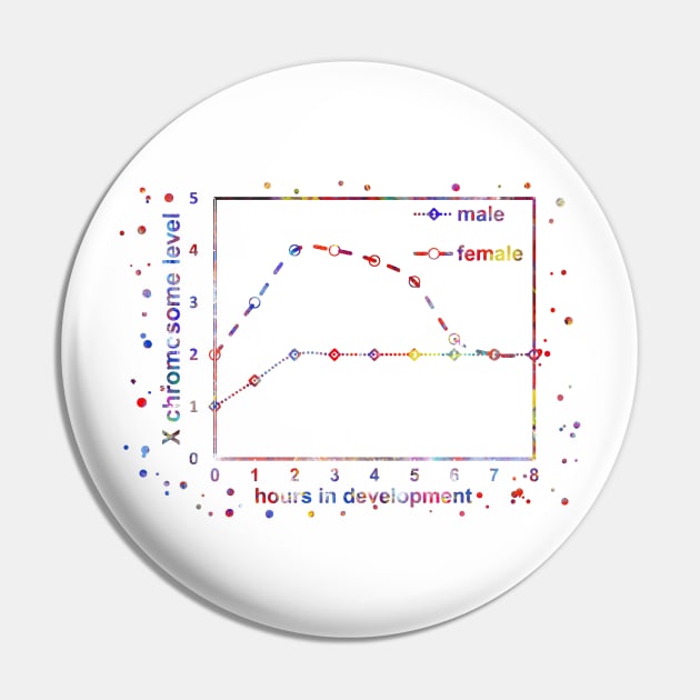 X chromosome expression levels in the two sexes Pin by RosaliArt